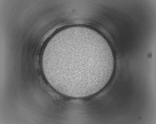 X0000112981023200910081105