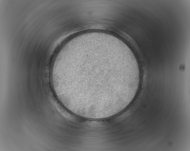 X0000112981027200910081105