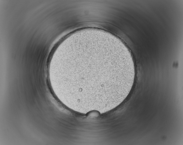 X0000112981028200910081105