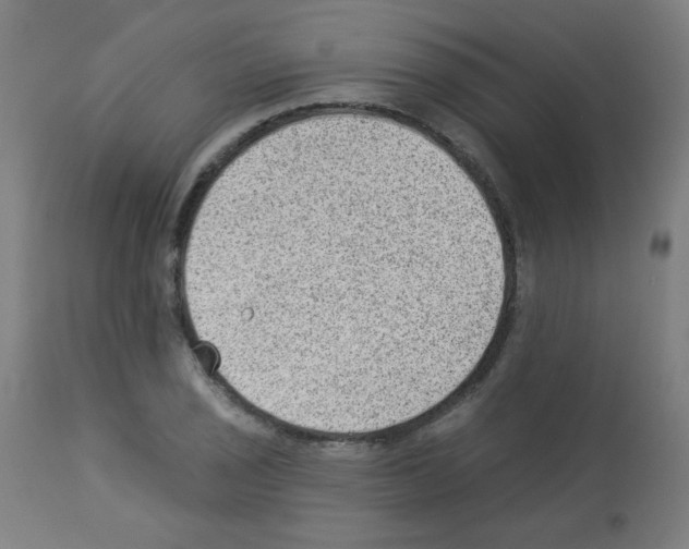 X0000112981029200910081105