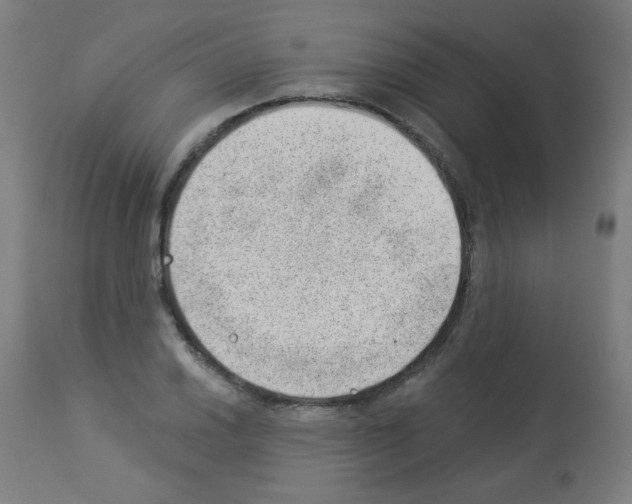 X0000112981030200910081105
