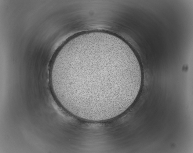 X0000112981031200910081105