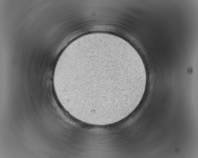 X0000112981033200910081105