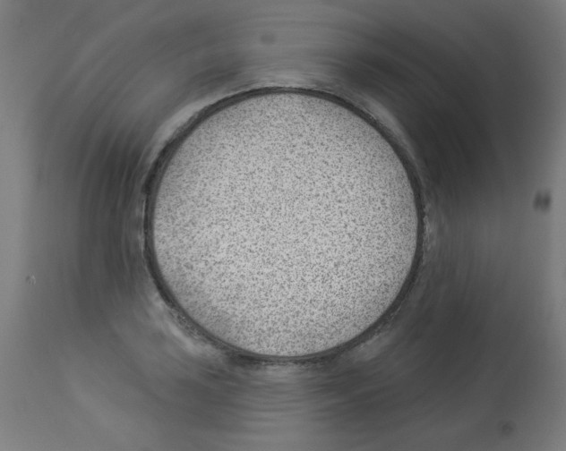 X0000112981035200910081105