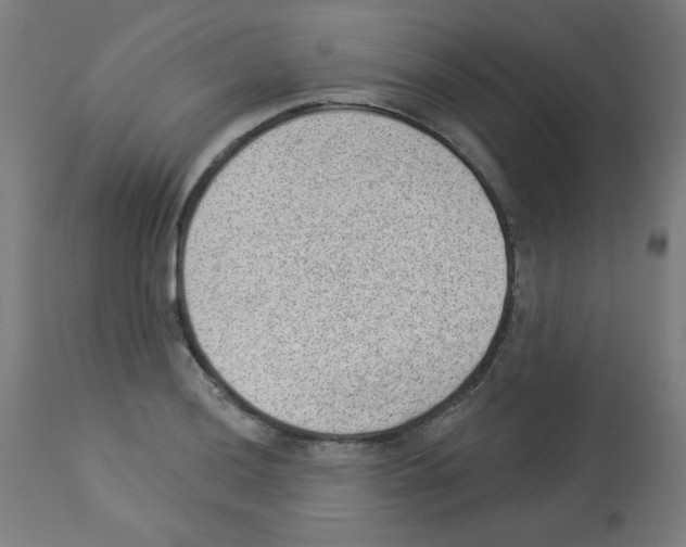 X0000112981036200910081105