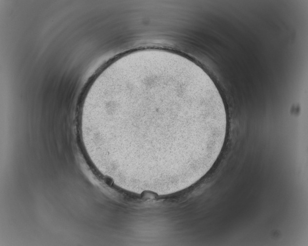 X0000112981038200910081105