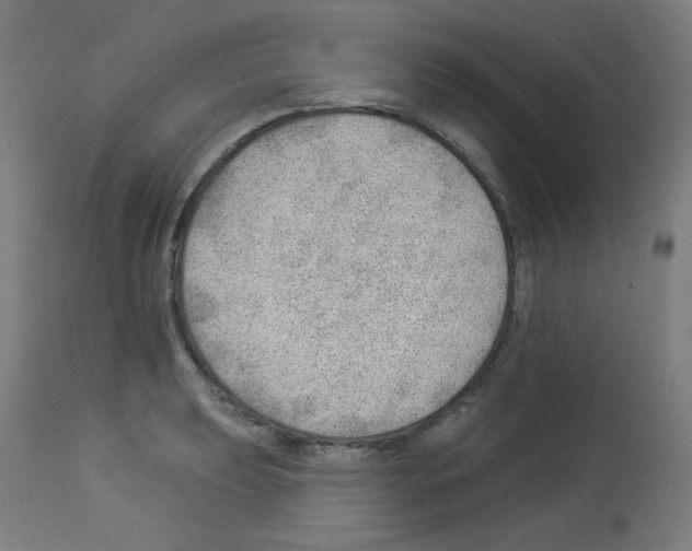 X0000112981039200910081105