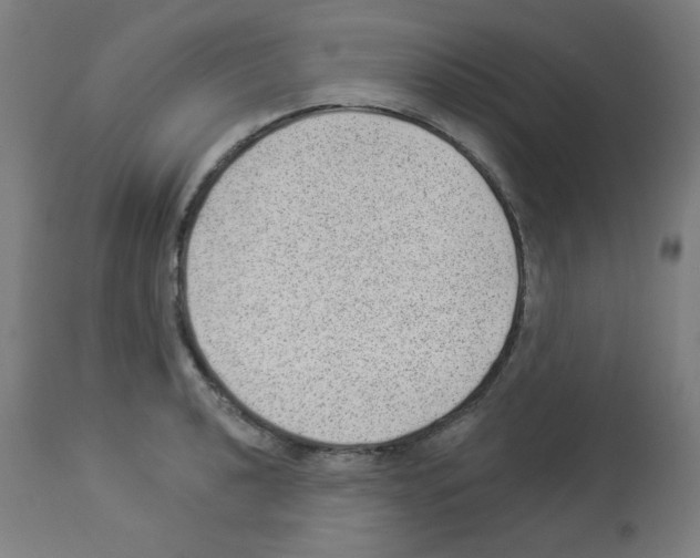 X0000112981040200910081105