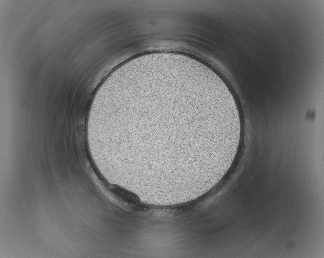X0000112981041200910081105