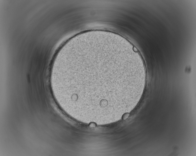 X0000112981045200910081105
