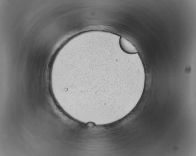 X0000112981046200910081105