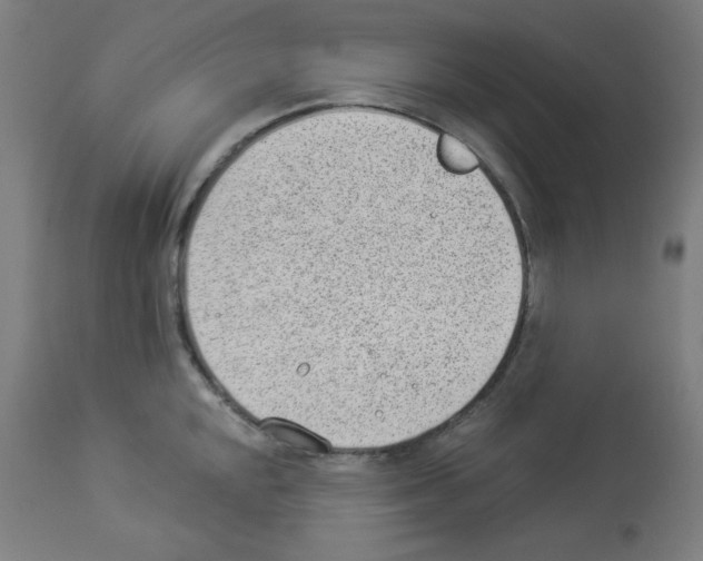 X0000112981048200910081105