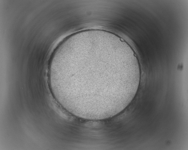 X0000112981051200910081105