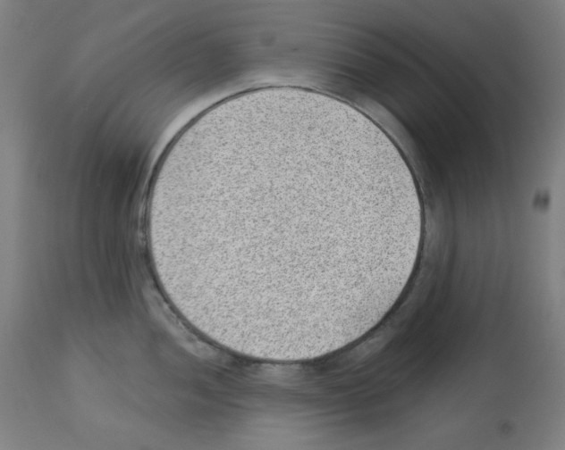 X0000112981052200910081105