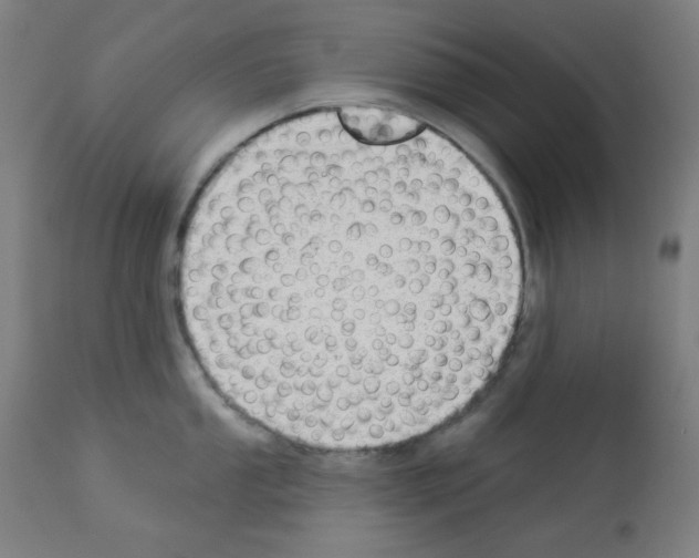 X0000112981053200910081105