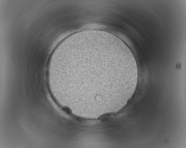 X0000112981055200910081105