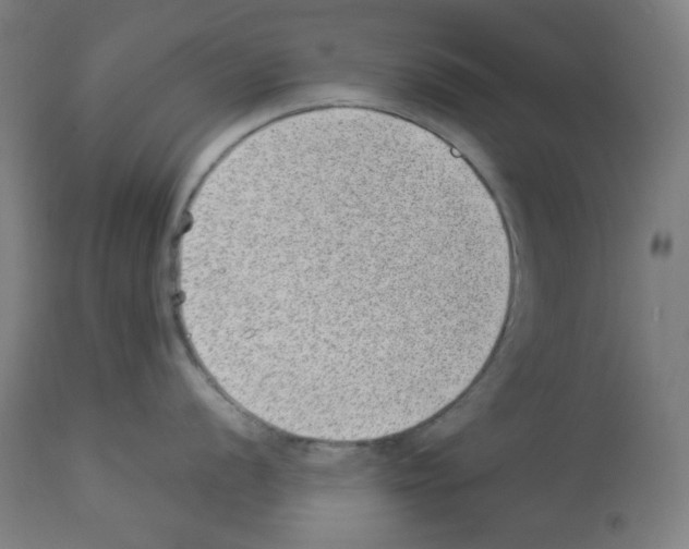 X0000112981056200910081105