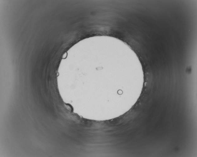 X0000112981057200910081104