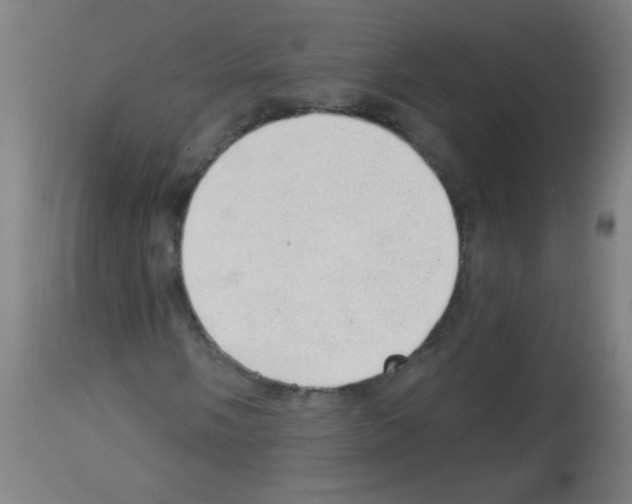 X0000112981058200910081104