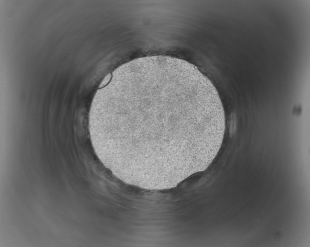 X0000112981059200910081104