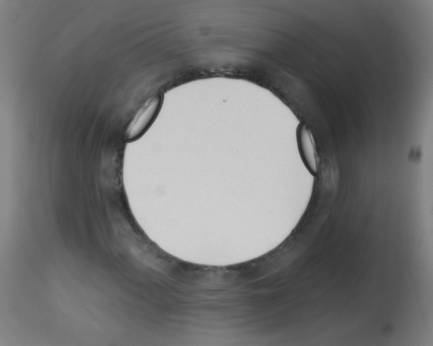 X0000112981060200910081104