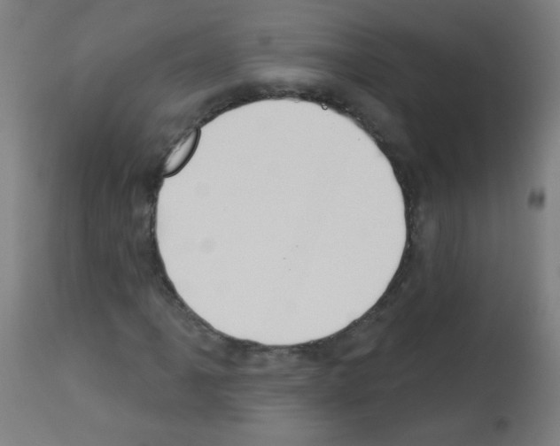 X0000112981061200910081104