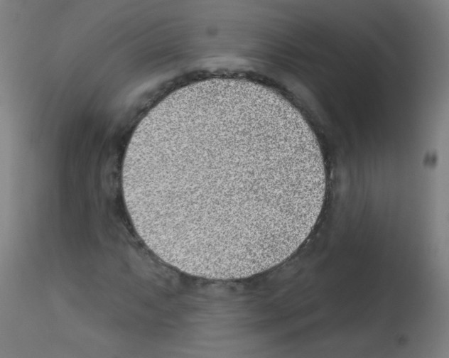 X0000112981063200910081104