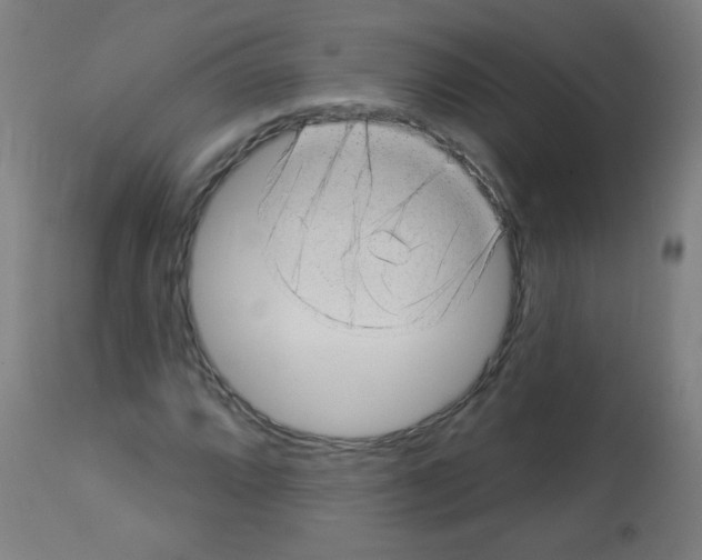 X0000112981064200910081104