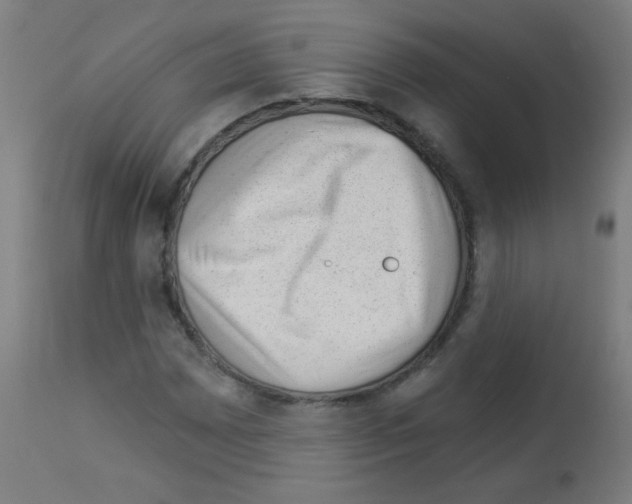X0000112981065200910081104