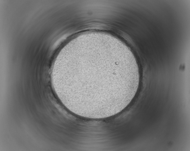 X0000112981067200910081104