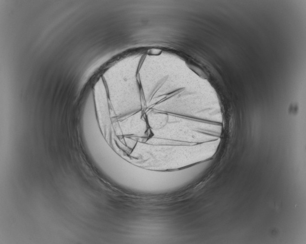 X0000112981069200910081104