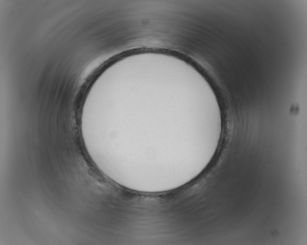 X0000112981070200910081104