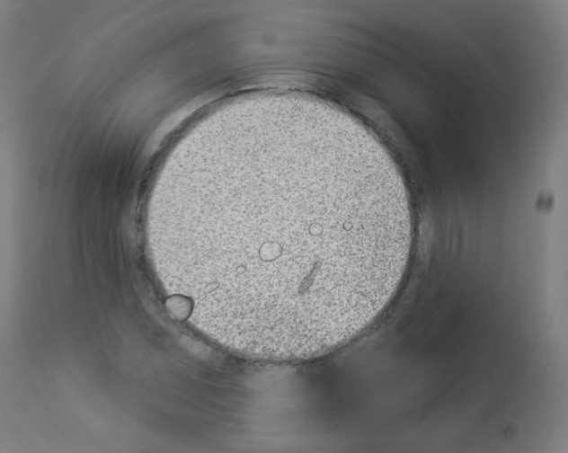 X0000112981071200910081104