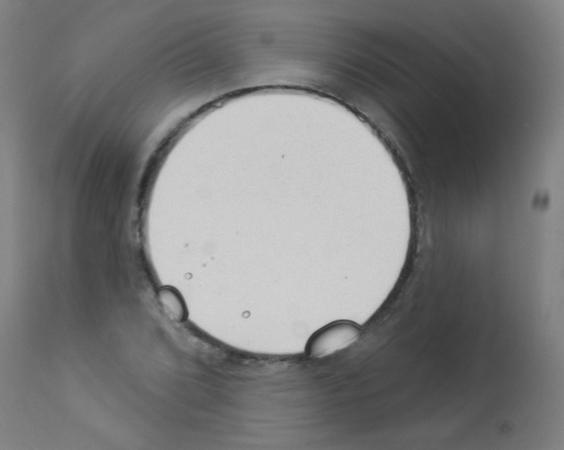 X0000112981072200910081104