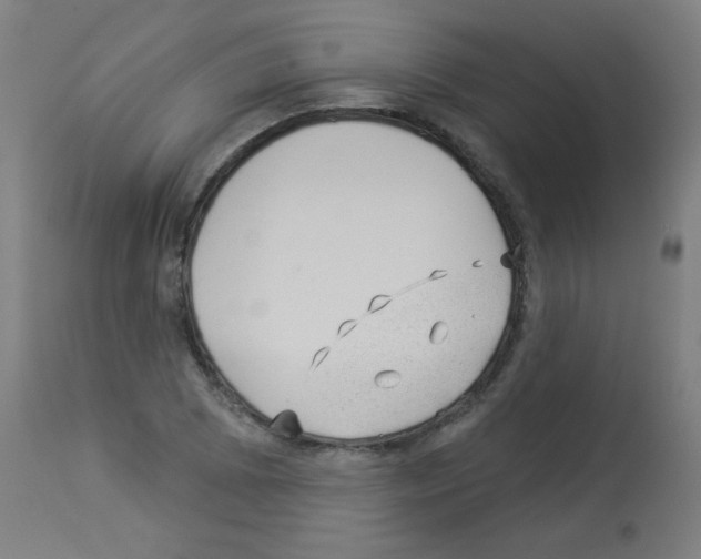 X0000112981073200910081104