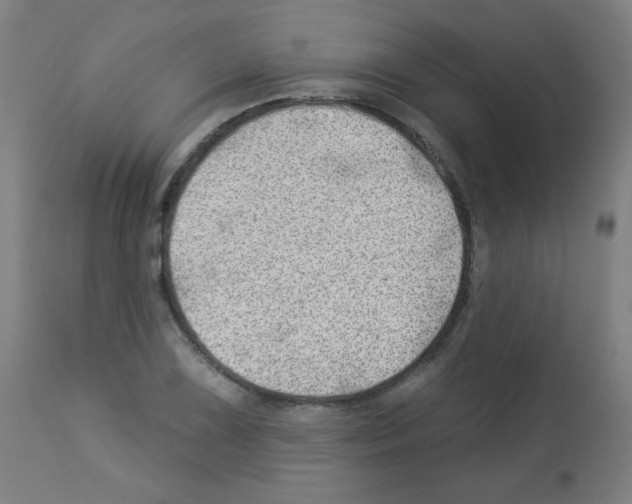 X0000112981075200910081104