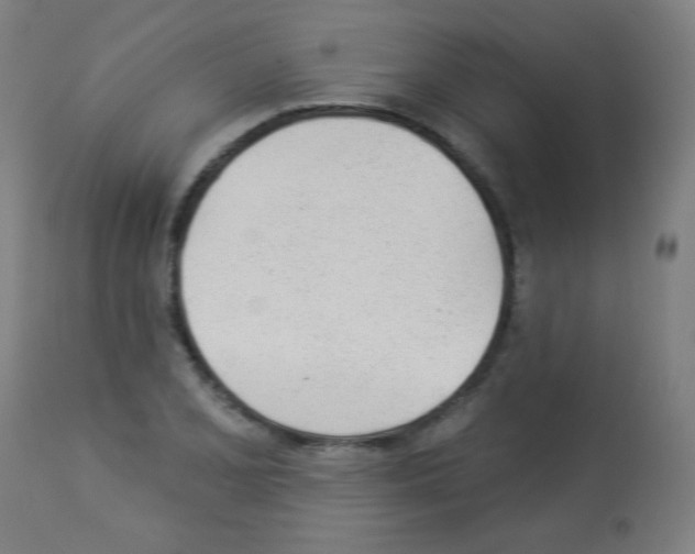 X0000112981077200910081104