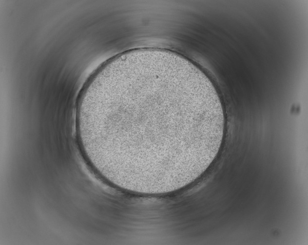 X0000112981079200910081104