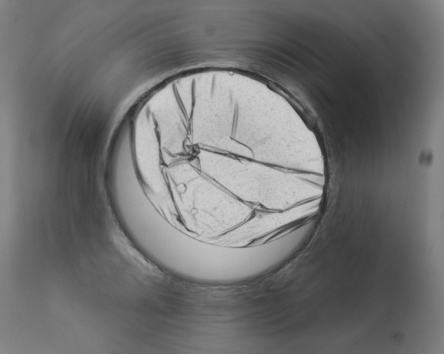 X0000112981080200910081104