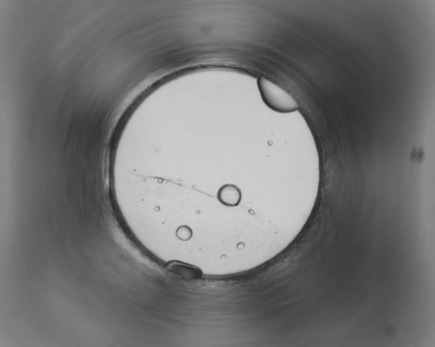 X0000112981084200910081104