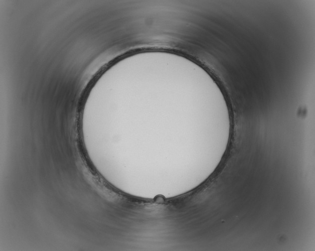 X0000112981085200910081104