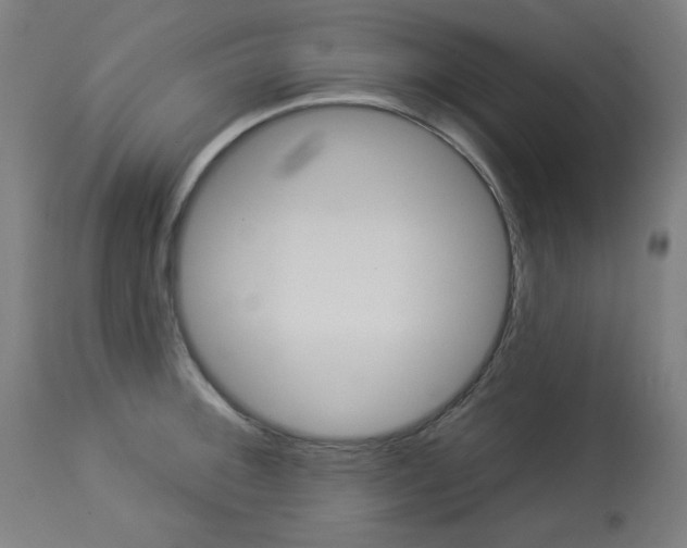 X0000112981092200910081104