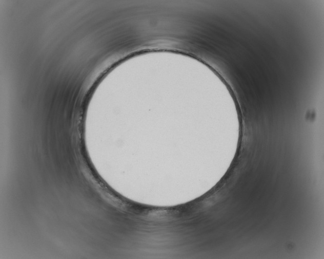 X0000112981093200910081104