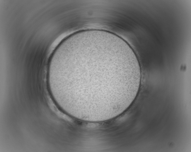 X0000112981094200910081104