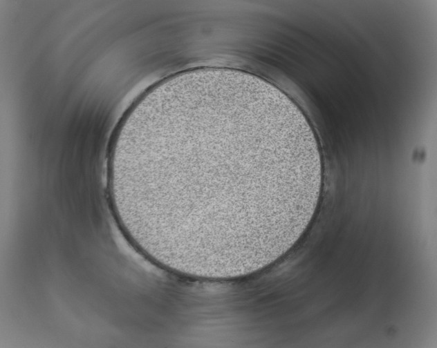 X0000112981095200910081104