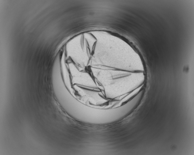 X0000112981097200910081104