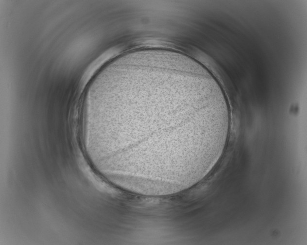 X0000112981098200910081104