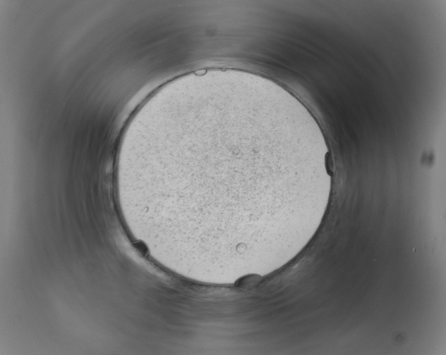 X0000112981100200910081104