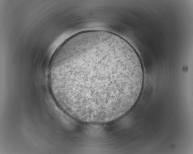 X0000112981101200910081104