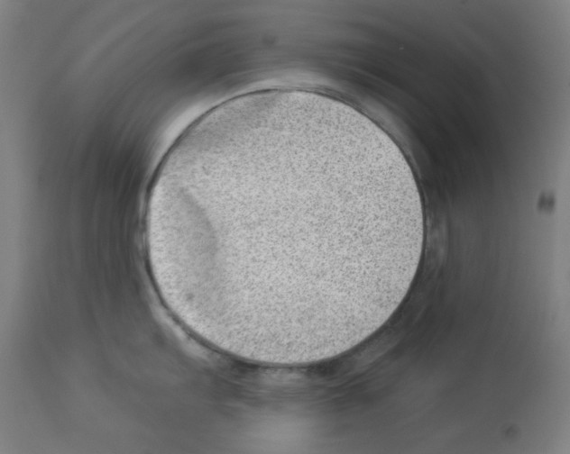 X0000112981103200910081104